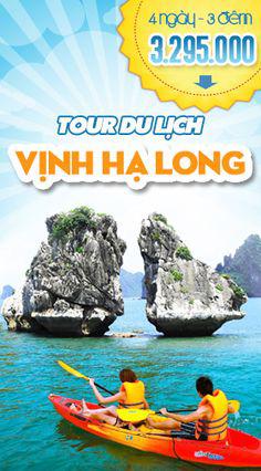 Mẫu tờ rơi du lịch độc đáo và sáng tạo nhất năm 2020 -IN Việt Long