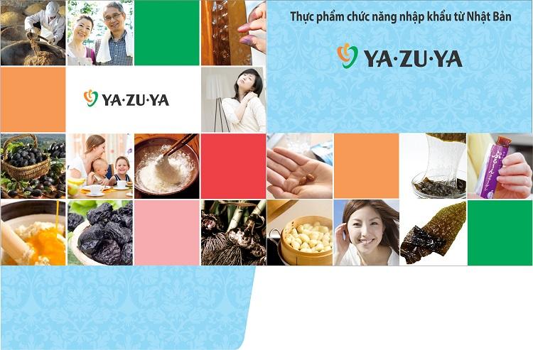 Mẫu kẹp tài liệu công ty sáng tạo