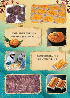 MẪU TỜ RƠI ĐẸP