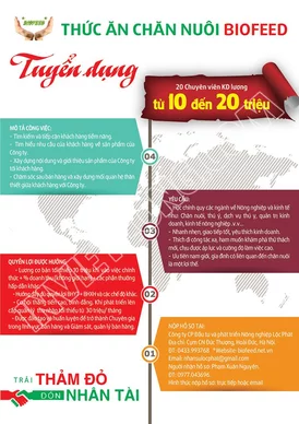 Mẫu tờ rơi tuyển dụng đẹp