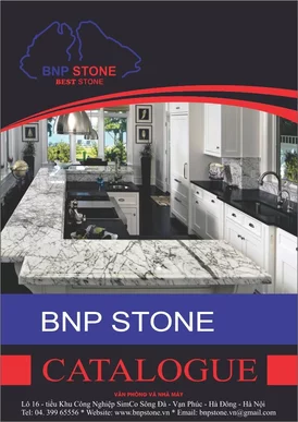 Mẫu Catalogue Công ty BNP