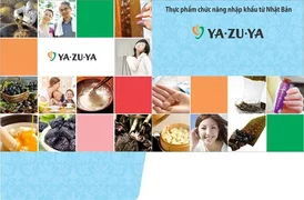 Mẫu kẹp tài liệu công ty sáng tạo