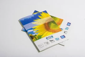 Mẫu Catalogue AKG