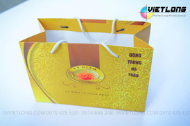 Mẫu túi giấy mới nhất