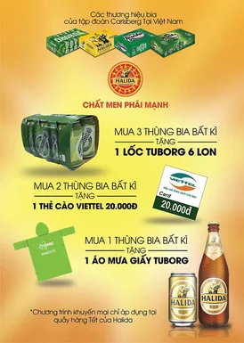 Mẫu tờ rơi bia halida