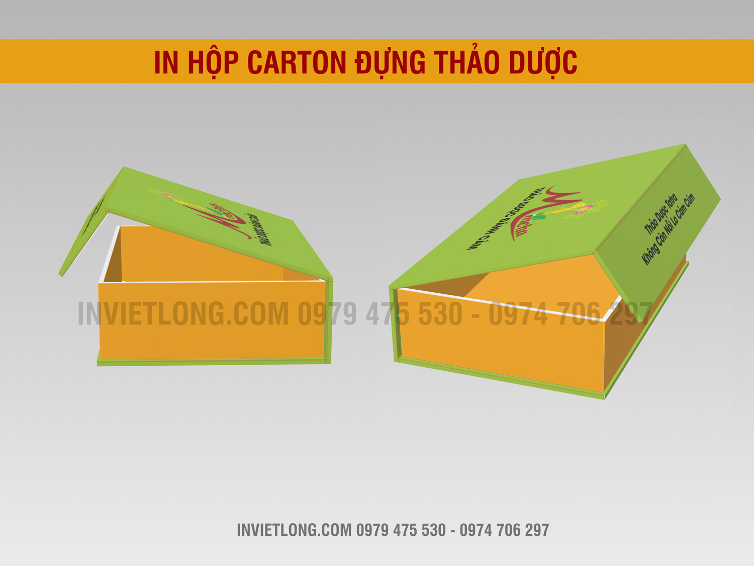 Mẫu hộp carton đựng thảo dược ngâm chân