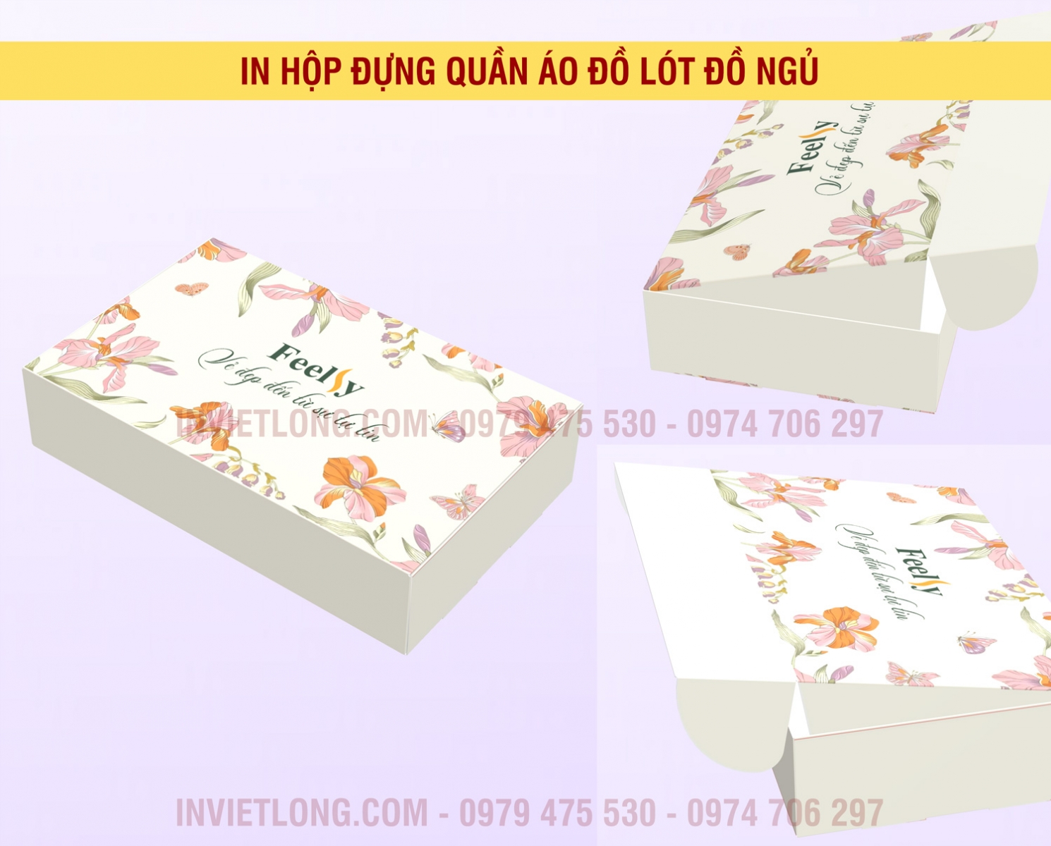 Mẫu hộp đựng quần lót, áo lót