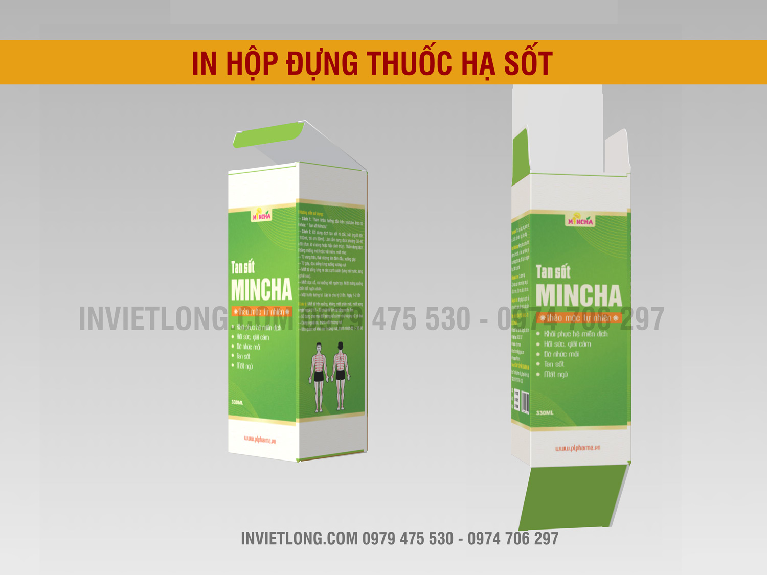 In hộp đựng thuốc Hạ Sốt