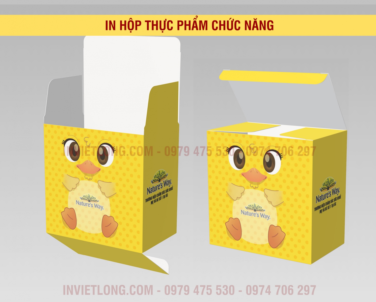 in hộp thuốc hộp thực phẩm chức năng rẻ đẹp