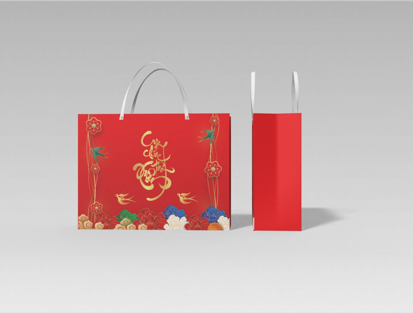 Mẫu túi quà Tết TR11