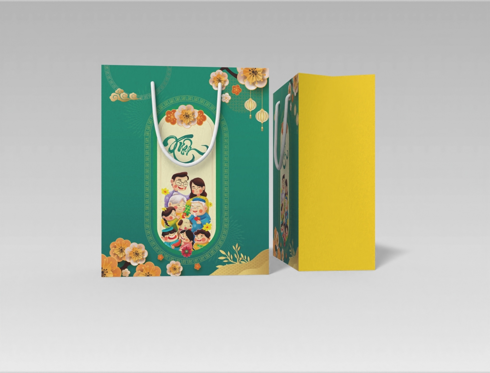 Mẫu túi quà Tết TR12