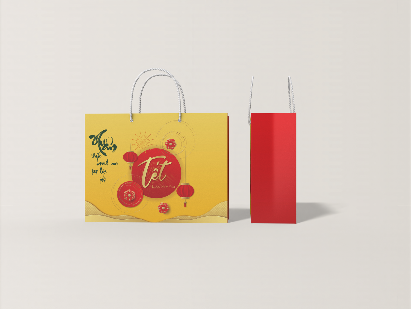 Mẫu túi quà Tết TR14