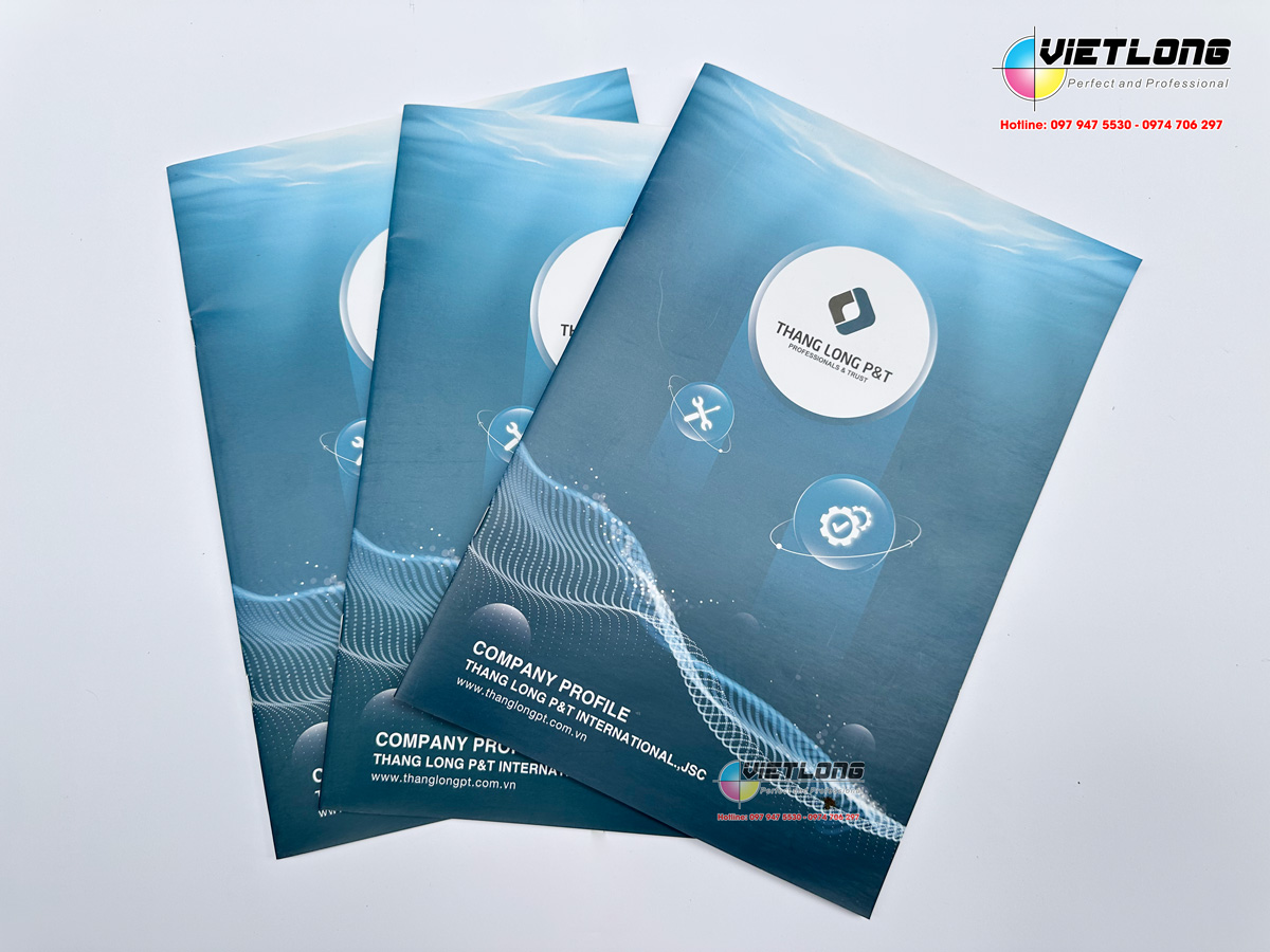 Thiết kế catalogue hồ sơ năng lực công ty