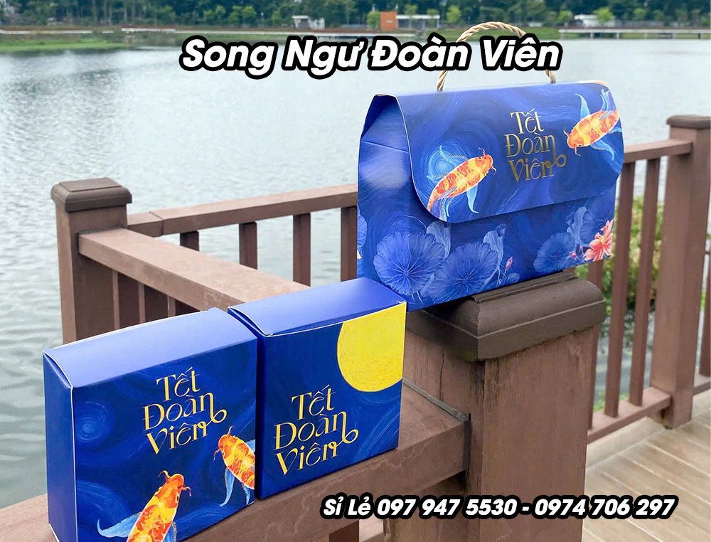 Mẫu vỏ hộp 2 bánh Song Ngư Đoàn Viên