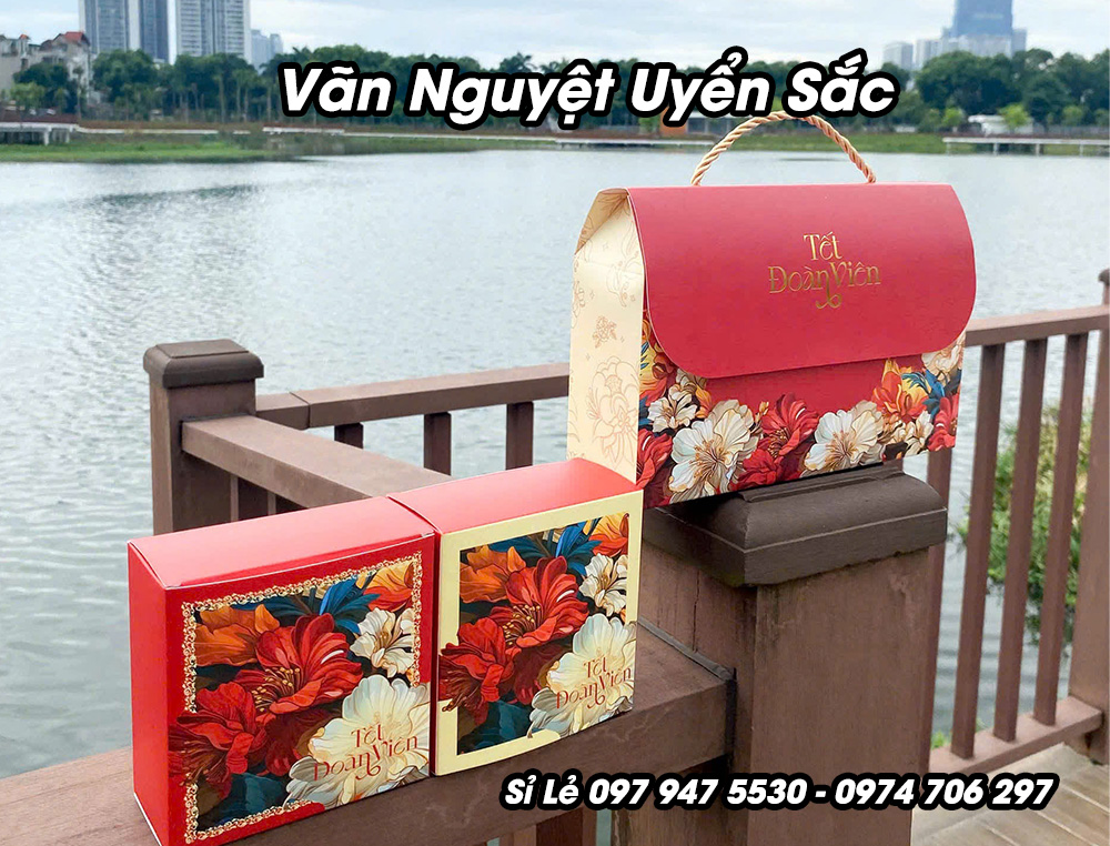 Vỏ hộp trung thu đựng 2 bánh màu đỏ