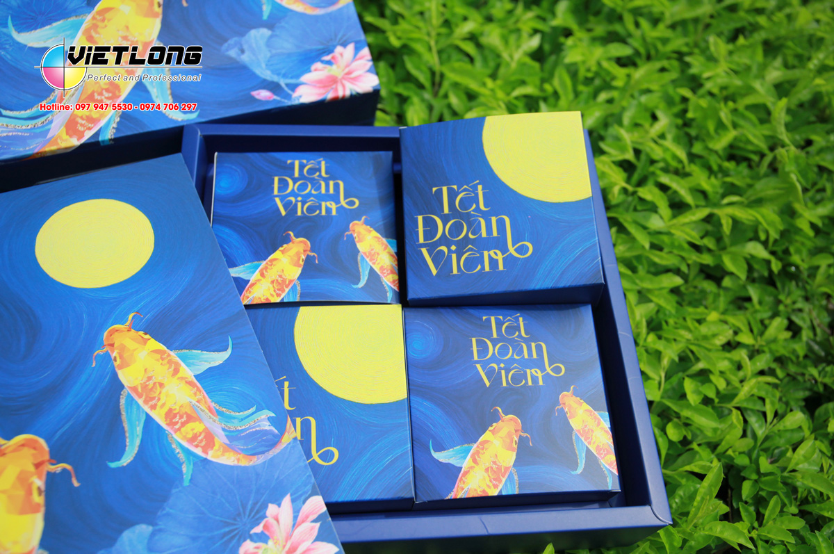 Hộp con và khay chia chắc chắn