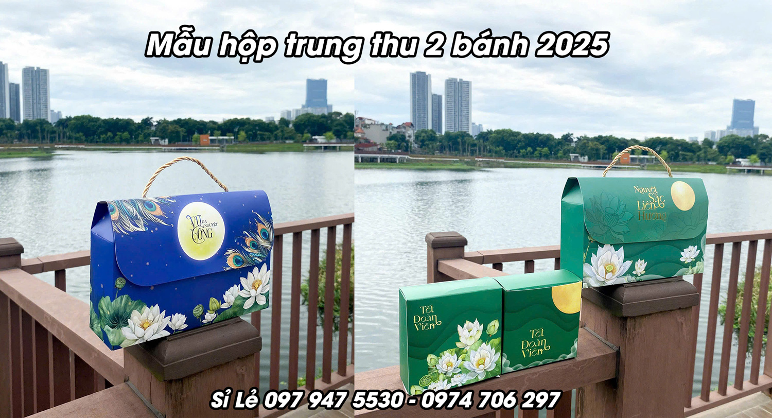 Hộp trung thu 2 bánh hình túi xách độc đáo