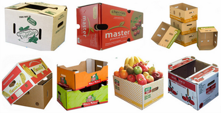 hop carton dung hoa qua