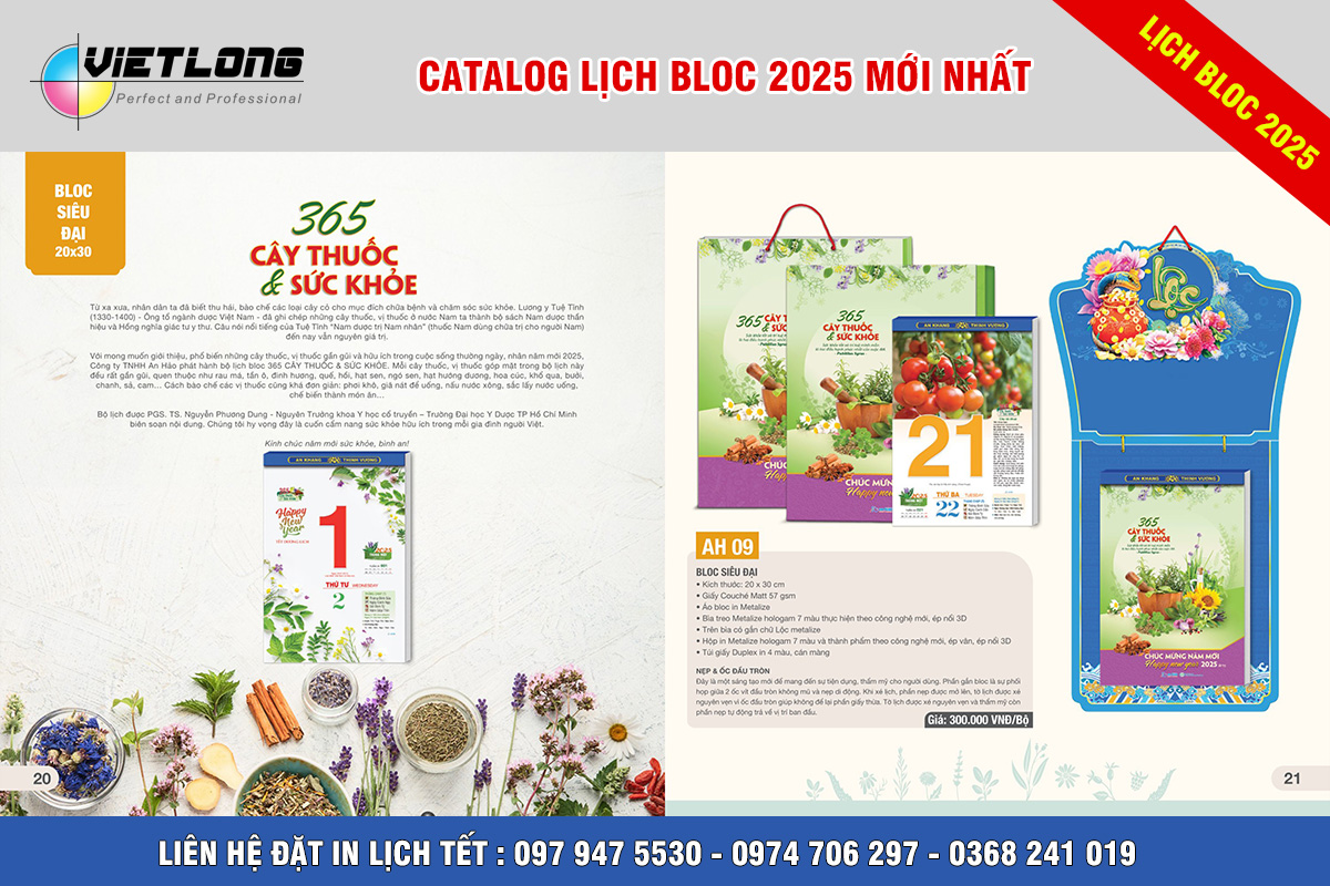 Mẫu lịch Tết Bloc 2025 KT 20x30cm mã AH 09