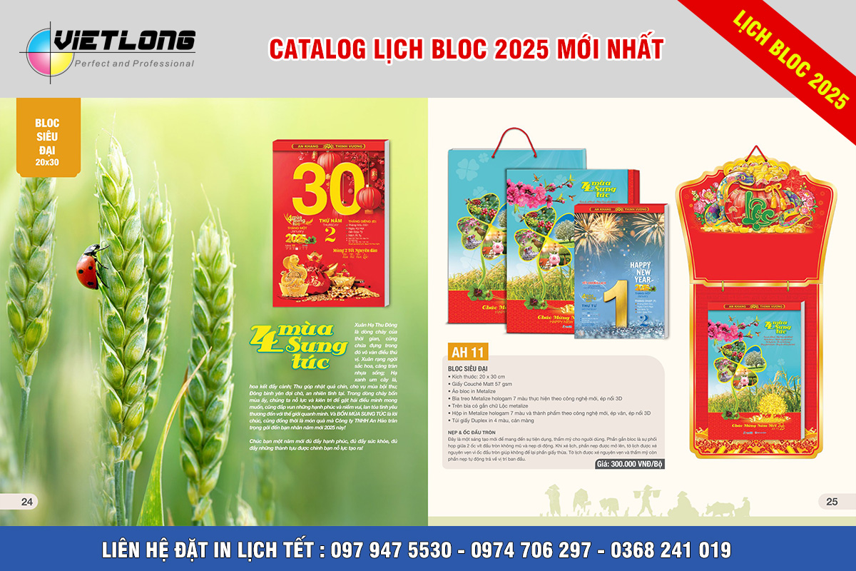 Mẫu lịch Tết Bloc 2025 KT 20x30cm mã AH 11