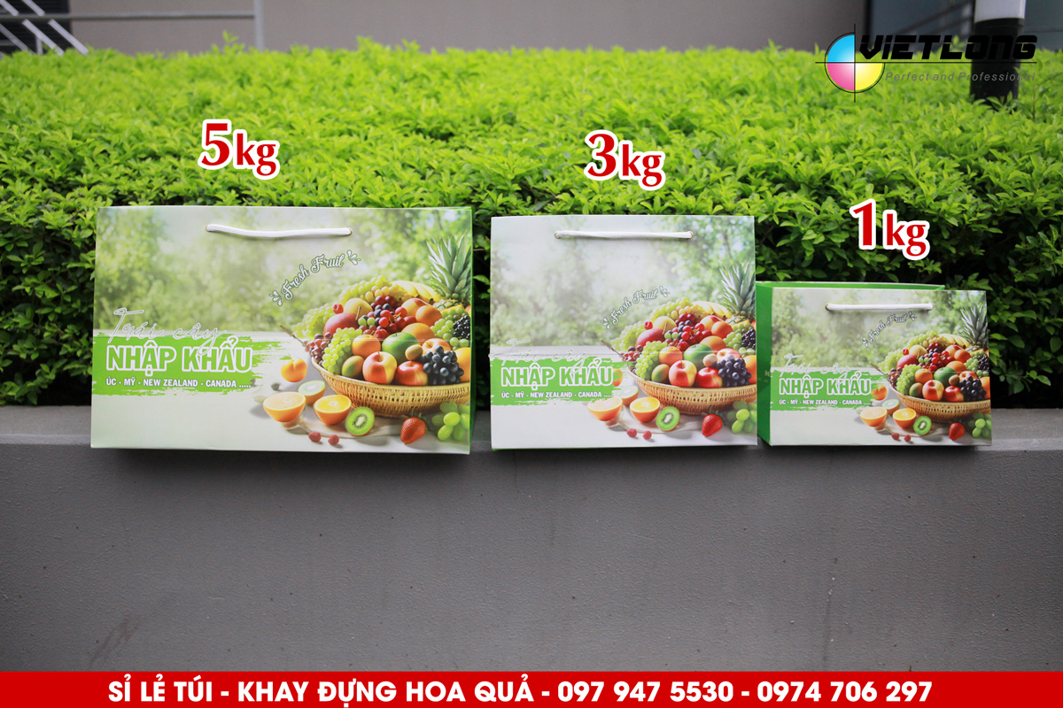 Mẫu túi đựng hoa quả màu xanh cốm ấn tượng