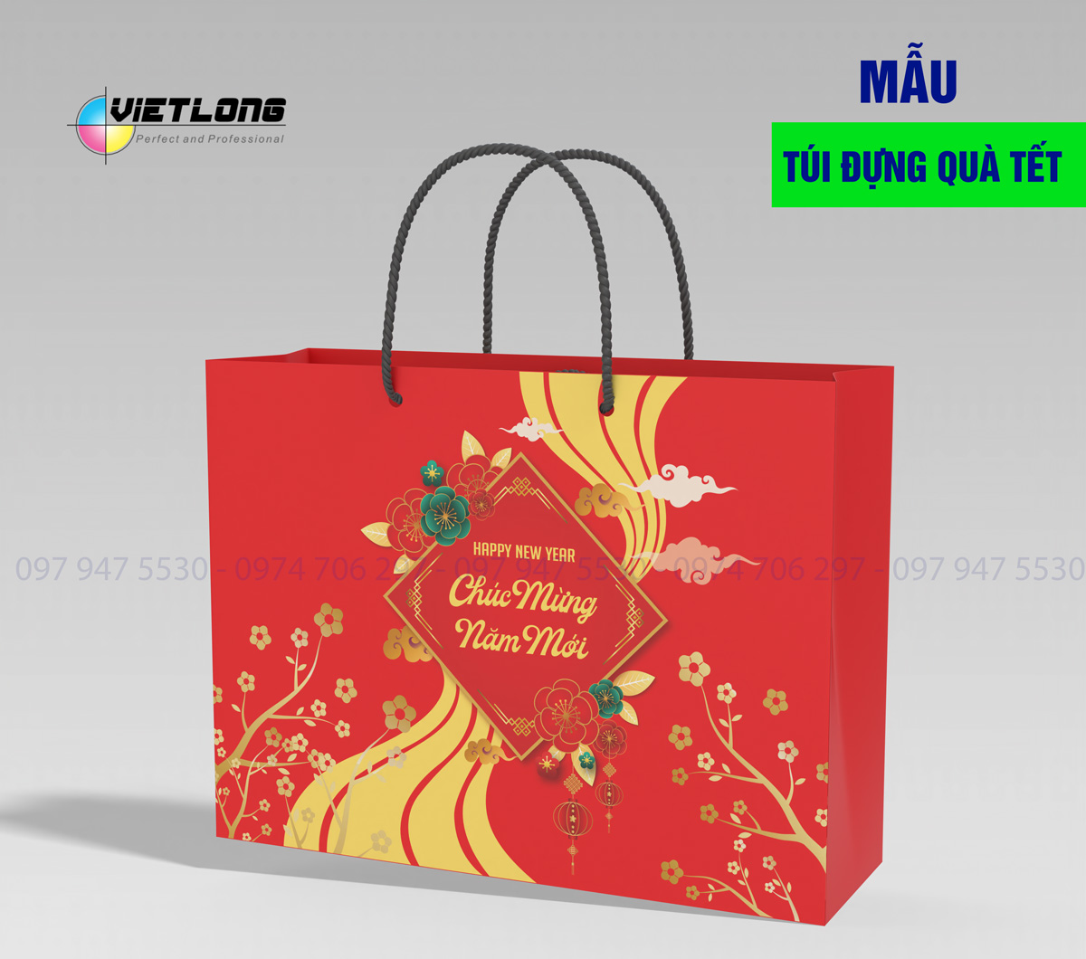 Công ty thiết kế & in túi giấy đựng quà Tết Hà Nội