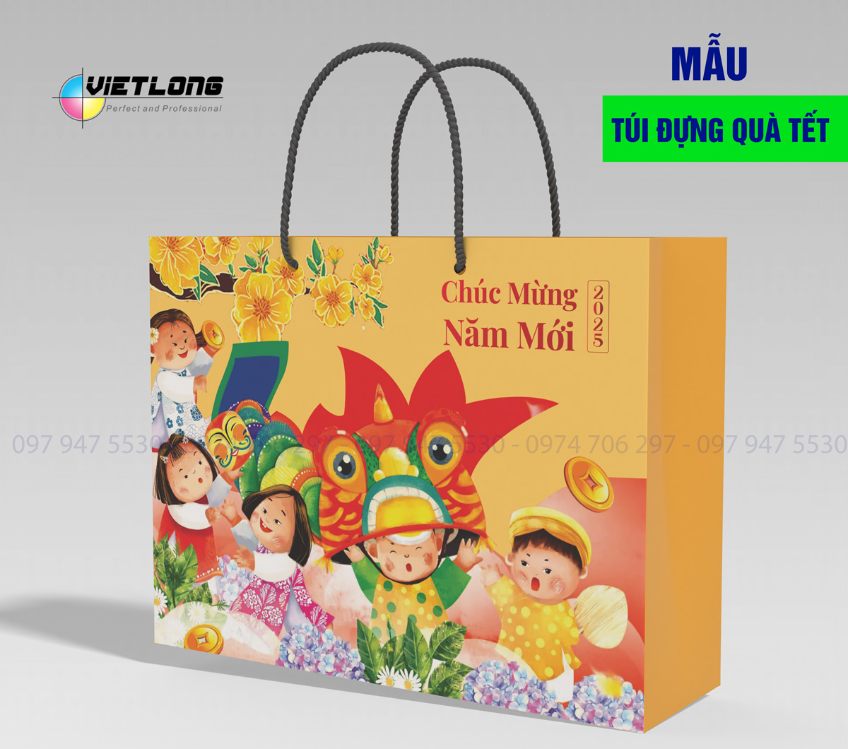 Xưởng in túi đựng quà tết giá rẻ Hà Nội