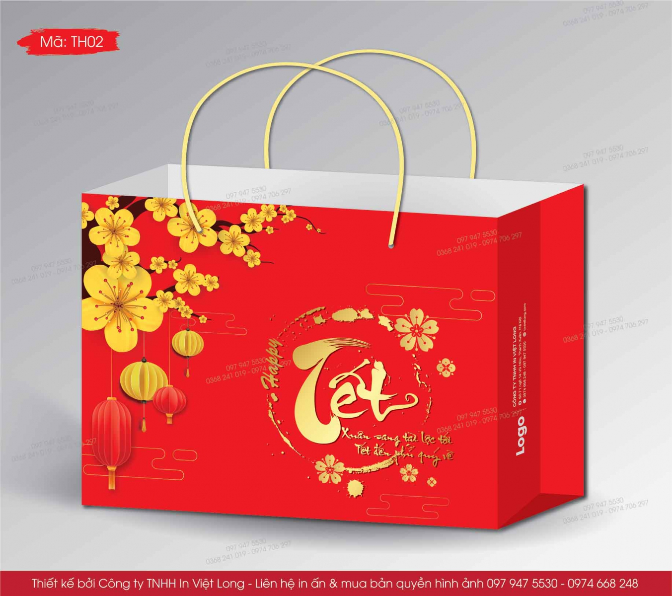 Mẫu thiết kế túi quà Tết 2025