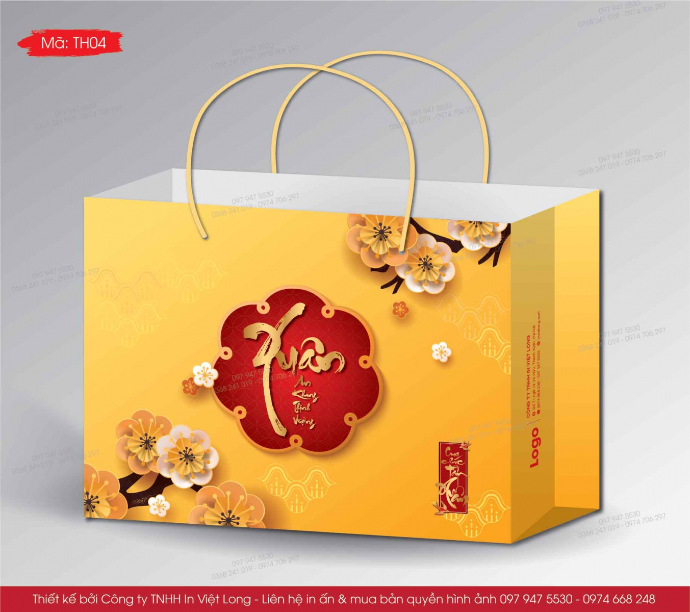 File túi quà Tết ấn tượng