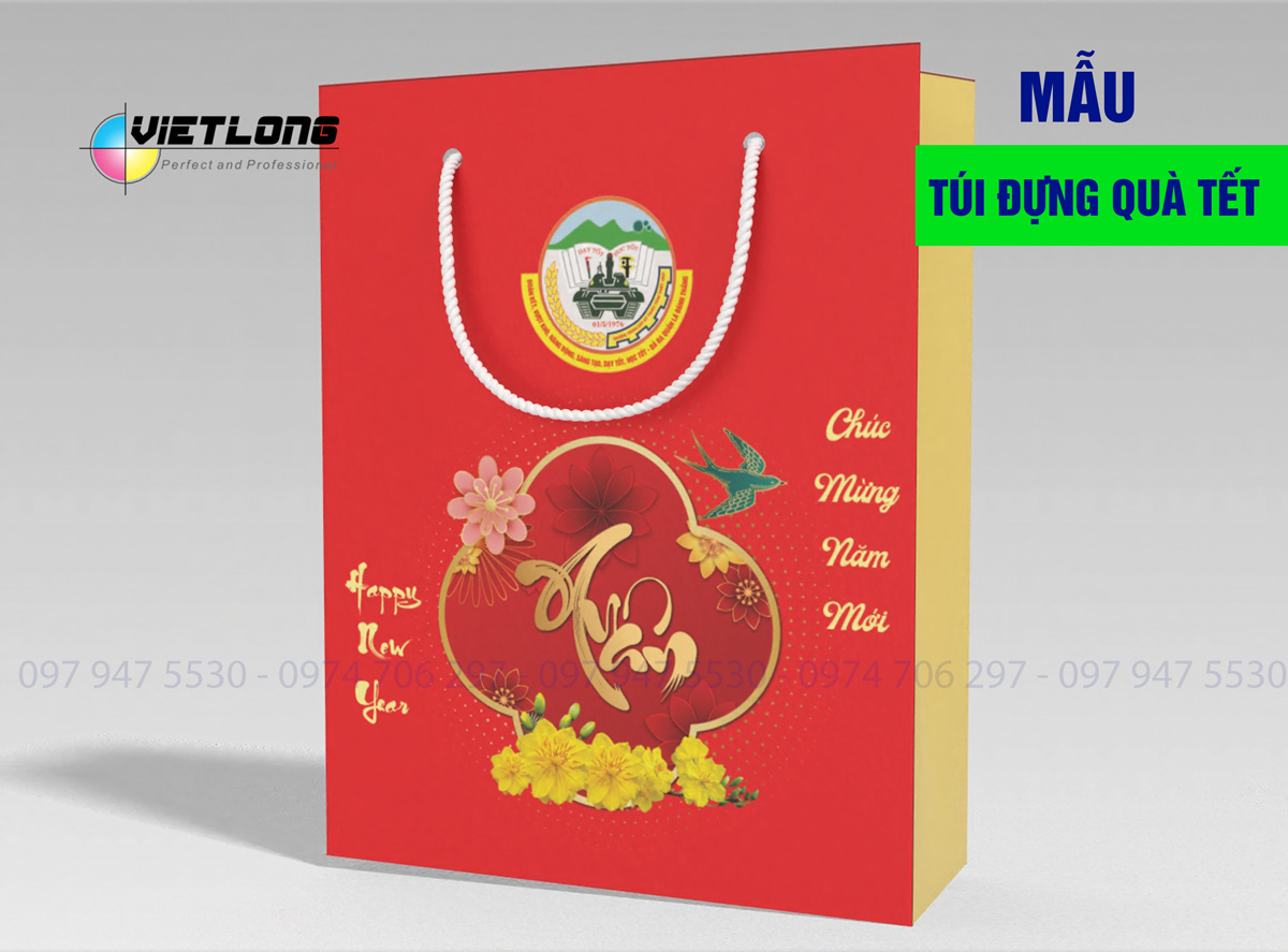 Mẫu túi quà Tết đẹp nhất