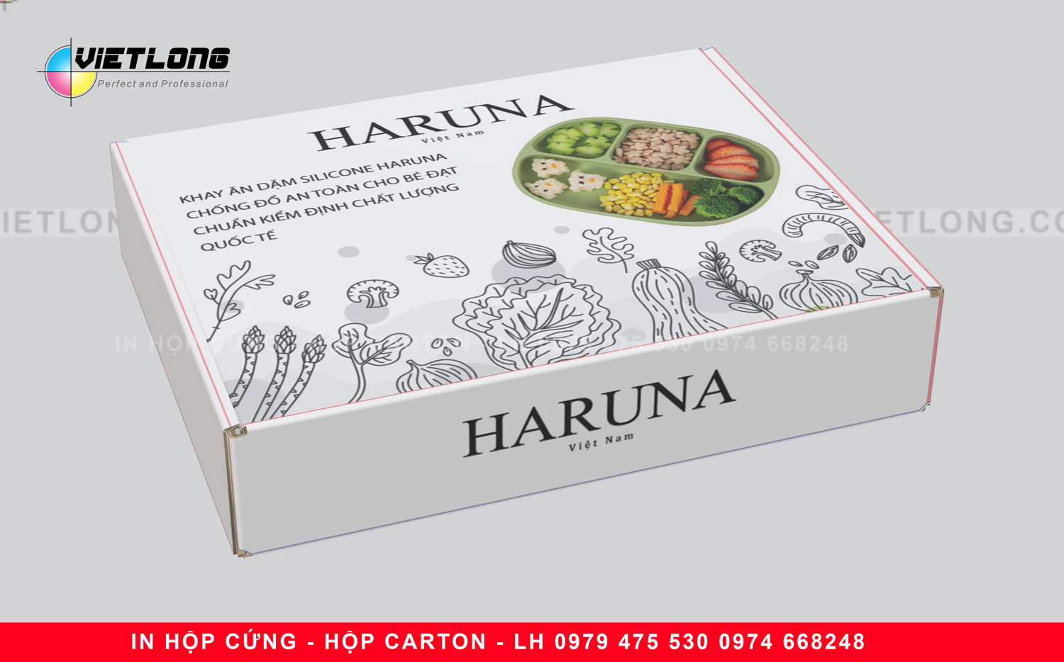 in hộp carton đựng thực phẩm kho,mỹ phẩm, đồ điện tử, sách
