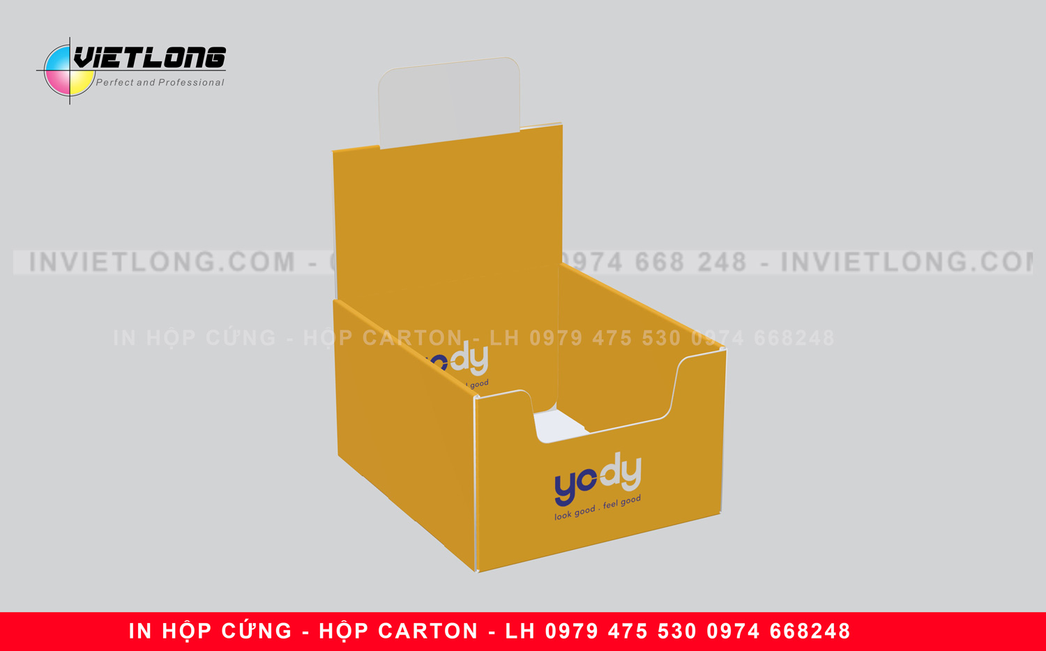 in khay giấy carton